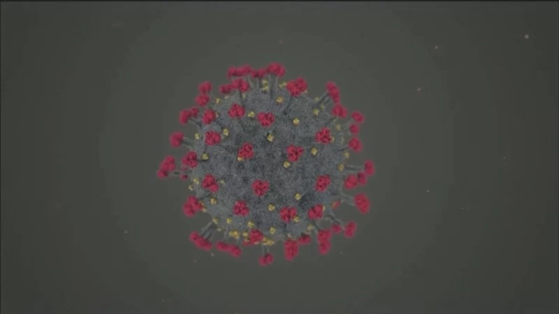A digital rendering of a spherical Corona Virus particle with red spike proteins and yellow structures, set against a gray Louisiana background.